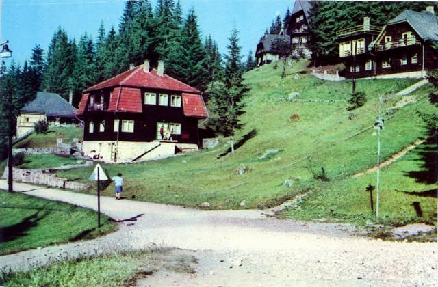 1251 - Vile la Lacul Rosu